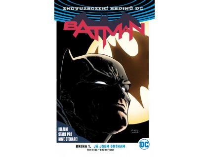 Batman (Znovuzrození hrdinů DC) 01 - Já jsem Gotham (brož.)
