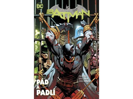 Batman (Znovuzrození hrdinů DC) 11 - Pád a padlí