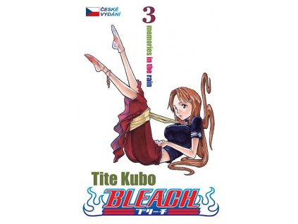 Bleach 03: Tite Kubo