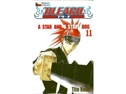 Bleach 11: Tite Kubo