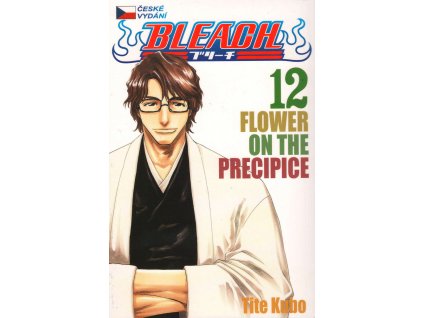 Bleach 12: Tite Kubo