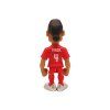 Liverpool Minix Figure Van Dijk 12 cm