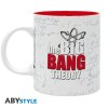 the big bang theory mug 320 ml casting subli with box x2 (1)