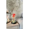 56049 5 vecna ruze ve skle alva s led osvetlenim