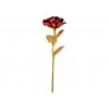 Červená věčná růže se zlatým stonkem SIF jako ideální dárek