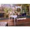 Set 4 scaune din plastic KATO, bej