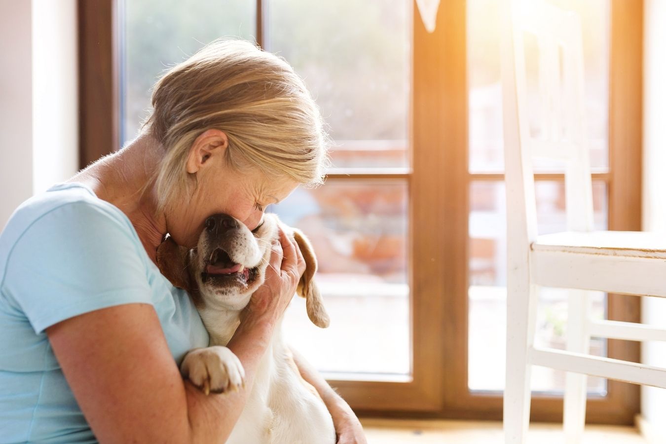 Kefír pre psov: Tekuté zlato pre imunitu, trávenie a pokojné brucho