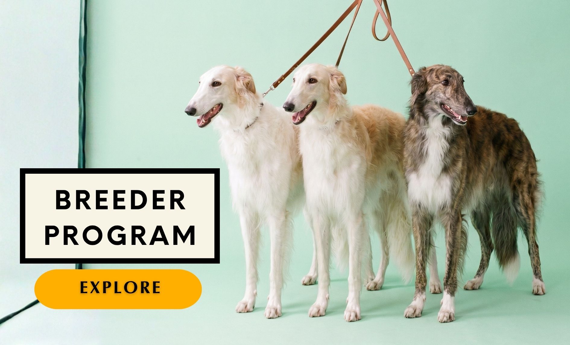 Breeder Program