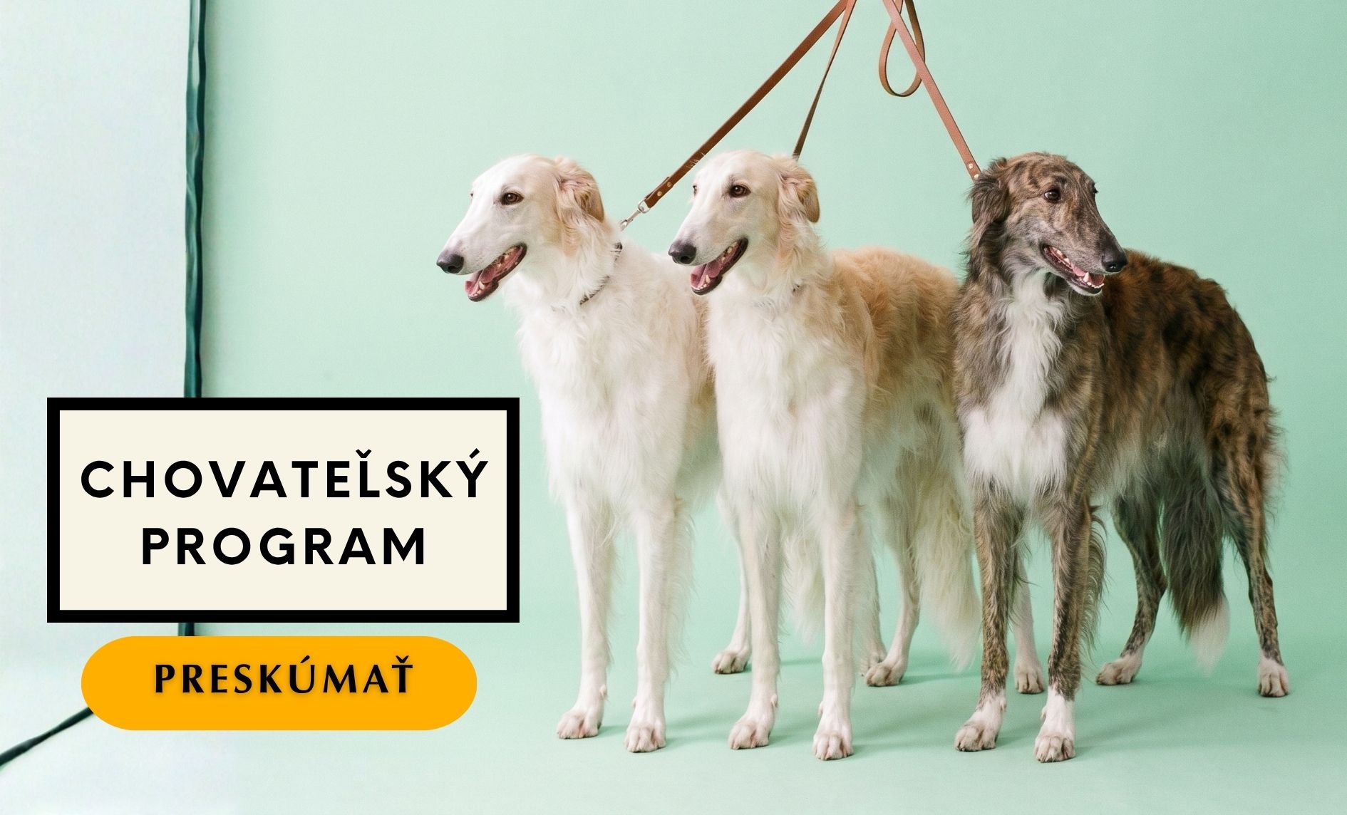 Chovateľský program