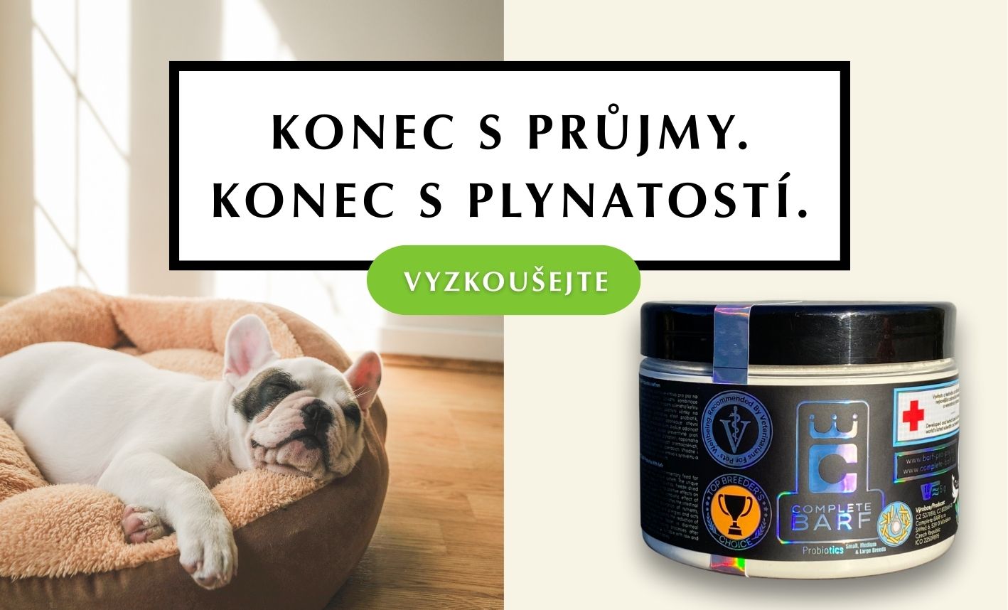 Probiotika