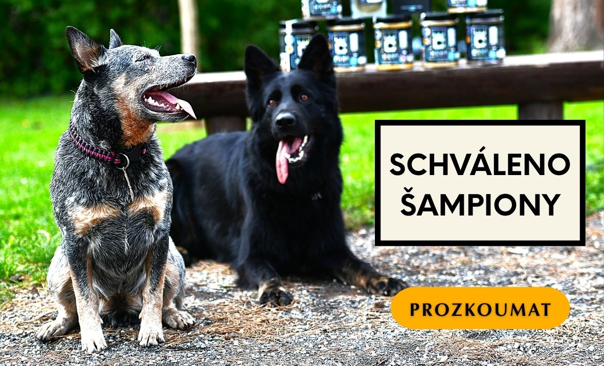 Complete BARF - Schváleno šampióny