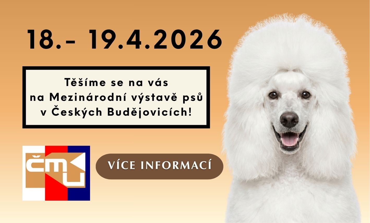 MVP České Budějovice