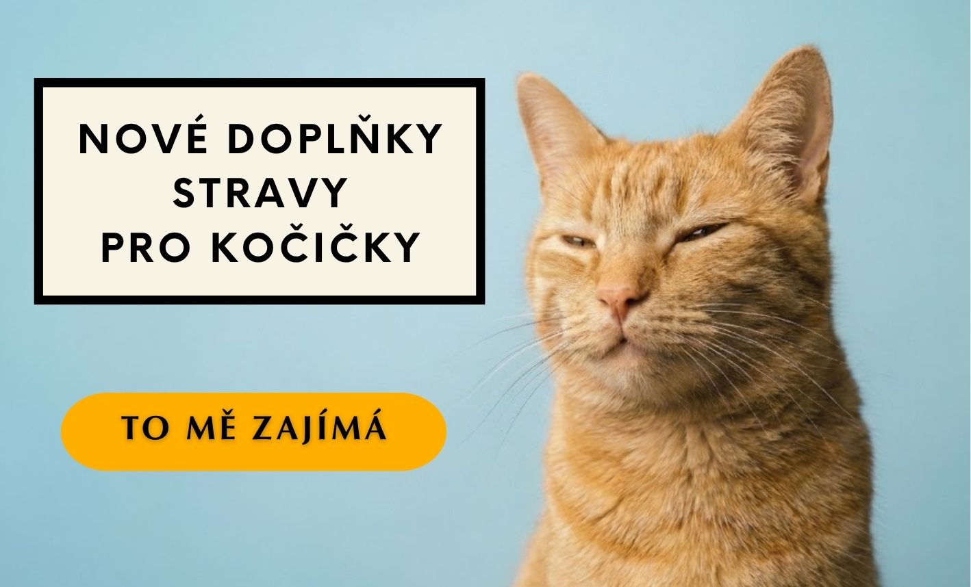 Nové produkty pro kočky