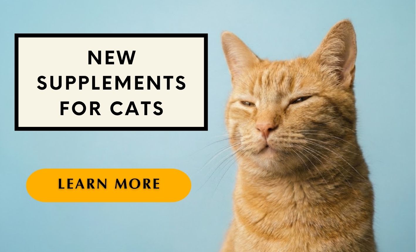 New Formula of Supplements for Cats.