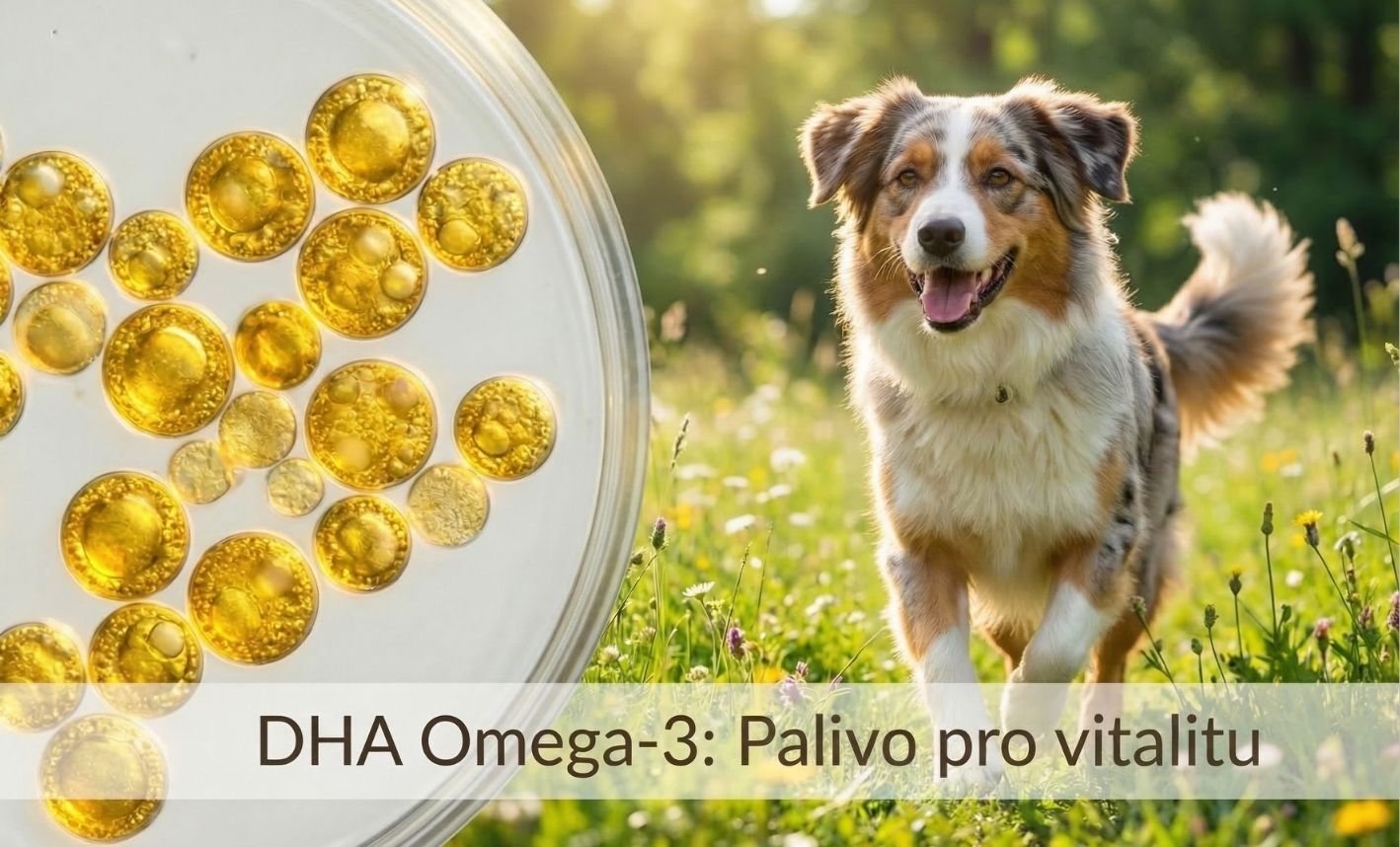 clanek-schizochytrium-3