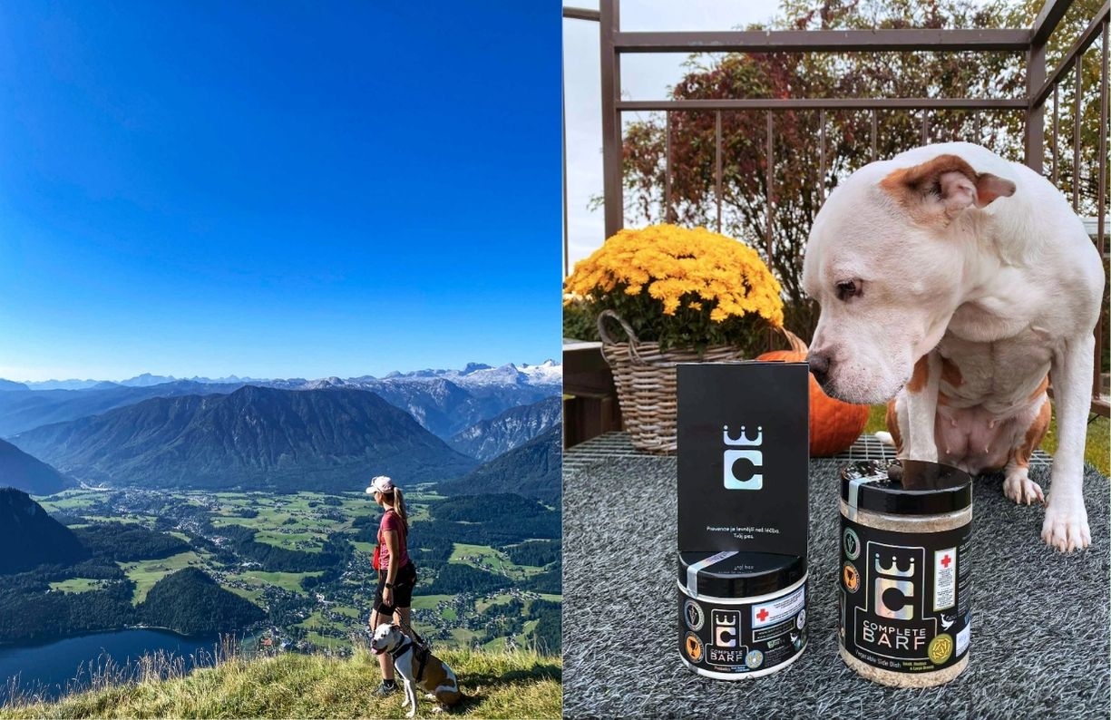 complete-barf-schvaleno-sampiony-hadar-5