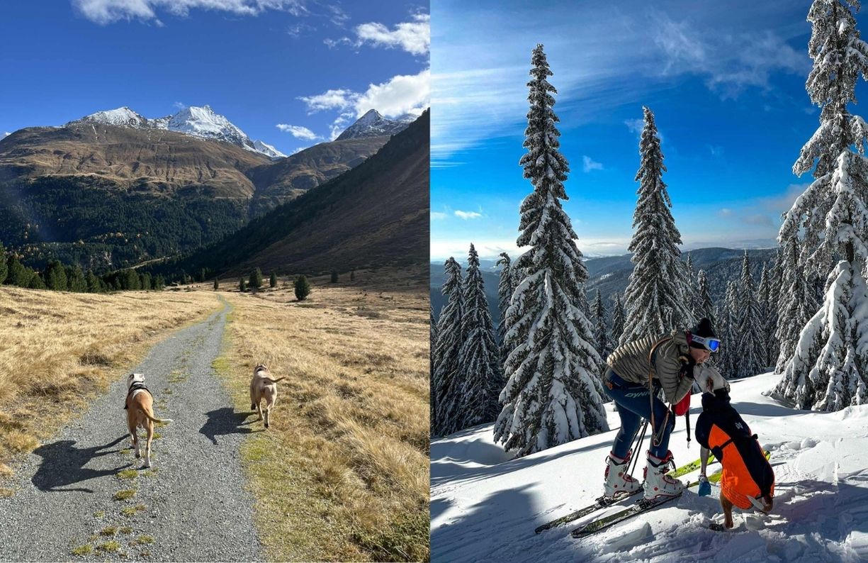 complete-barf-schvaleno-sampiony-hadar-6