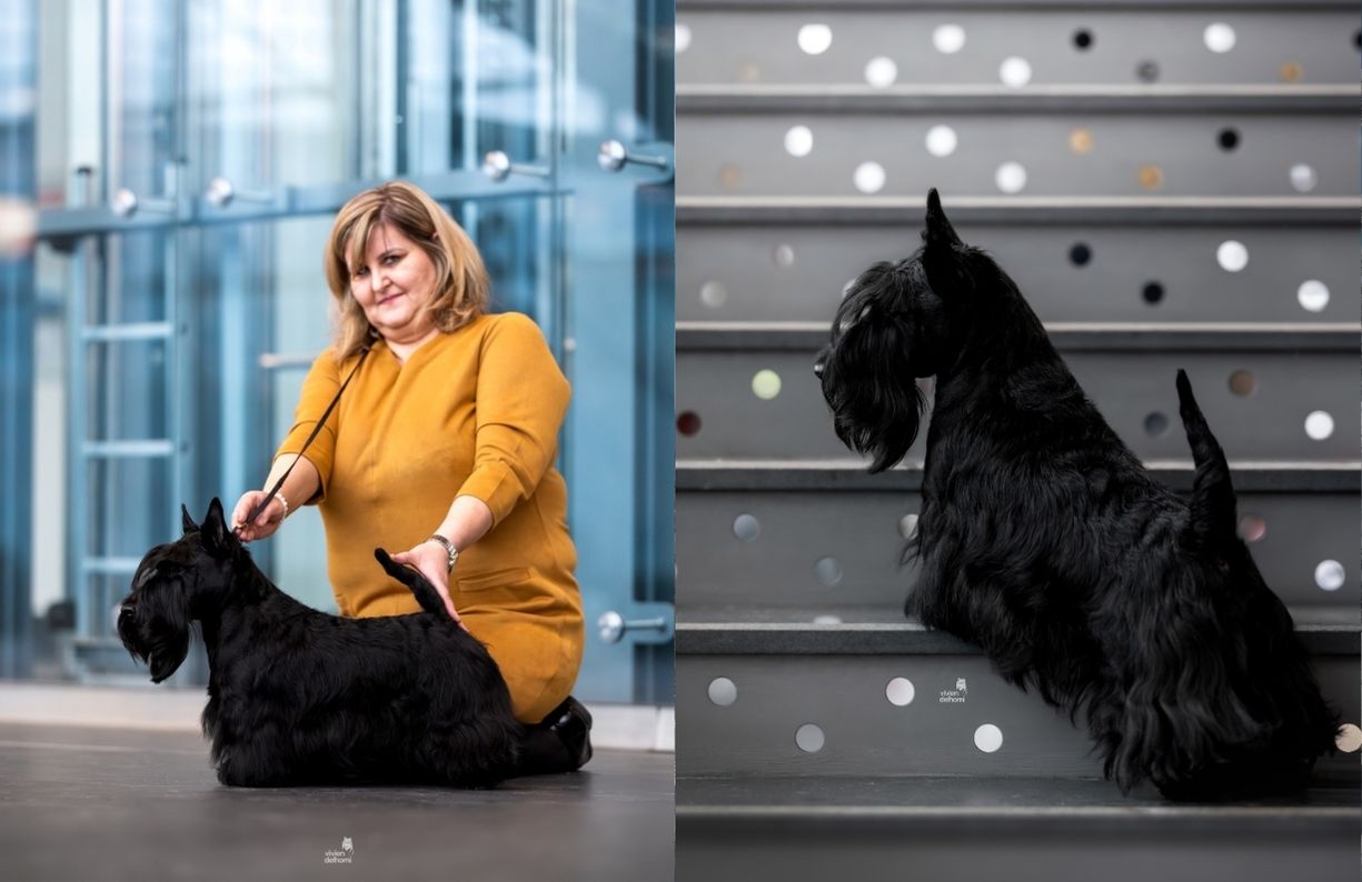 complete-barf-schvaleno-sampiony-orestes-2