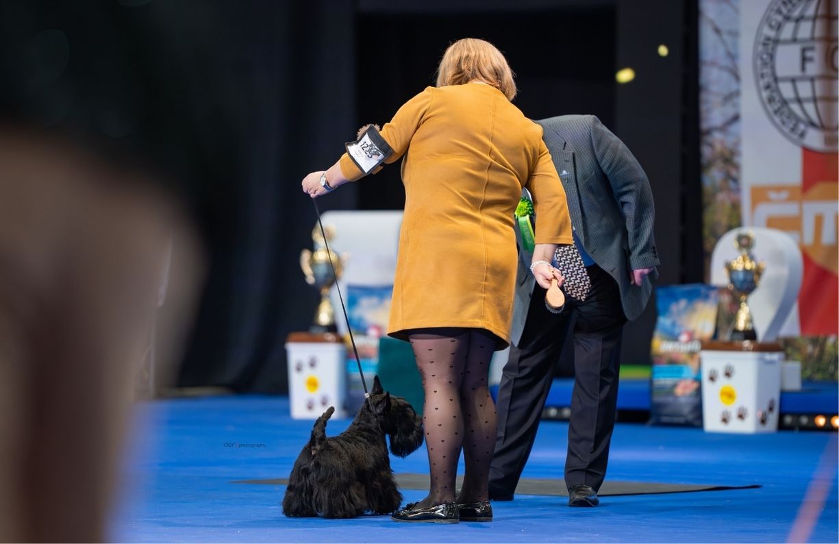 complete-barf-schvaleno-sampiony-orestes