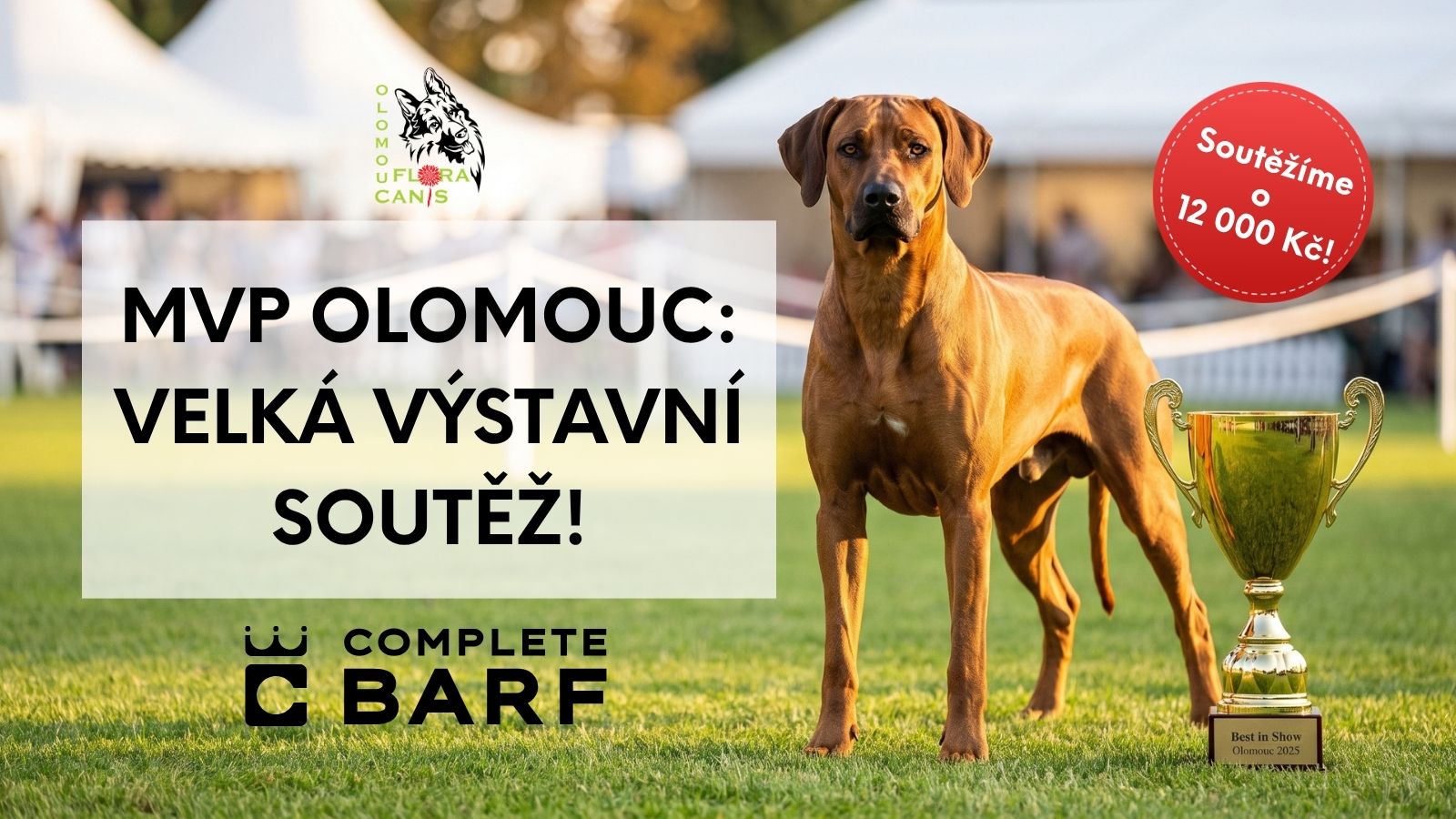 floracanis-complete-barf-soutez