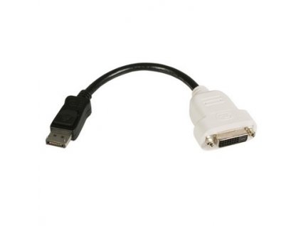 20pinový DisplayPort (Male) -> DVI Dual Link (Female)