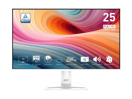 MSI PRO MP251W