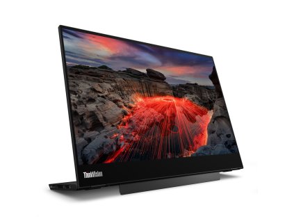 ThinkVision M14t 11 s