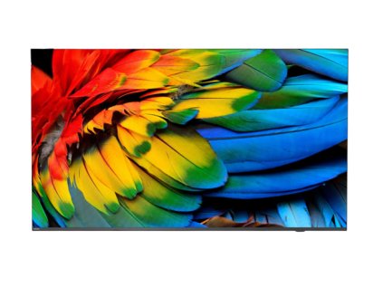 43hfl removebg preview s