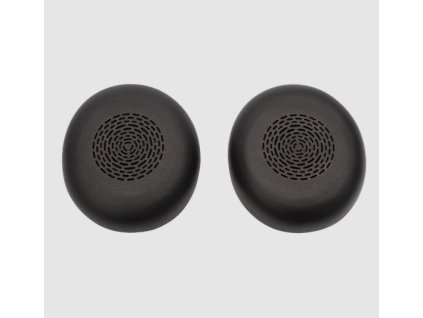 earb