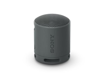 10 SRS XB100 Light Black s