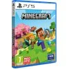 PS5 - Minecraft
