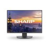 NEC Sharp MultiSync/EA242W/24"/IPS/FHD/60Hz/6ms/Černá/3R