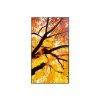 43" LED SHARP M432,3840x2160,IPS,24/7,500cd