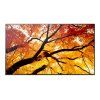43" LED SHARP M432,3840x2160,IPS,24/7,500cd