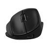 black mouse front