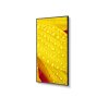 Sharp NEC Display Solutions NEC M1 2 Series portrait left content 1600x1200