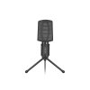 Asp microphone 2 s