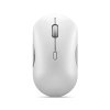 Lenovo 700 Multi-Device Wireless Silent Mouse Shel