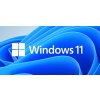 MS Windows 11 Professional 64-bit Hungarian 1pk OEM DVD