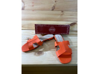 photo 54 2025 10 13 17 30 04