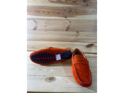 photo 33 2025 10 20 11 50 23