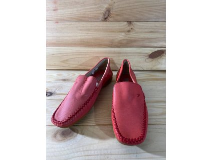 photo 47 2025 10 20 11 50 23