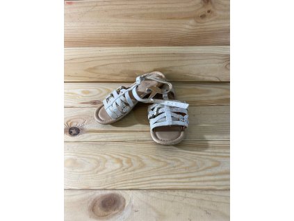 photo 19 2025 10 20 12 52 47