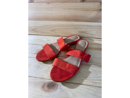 photo 33 2025 10 20 12 52 47