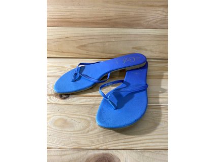 photo 40 2025 10 20 12 52 47