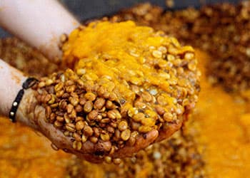 co-fermented coffee processing