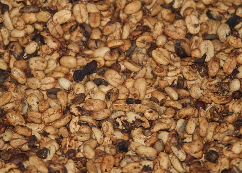 ethiopia coffee