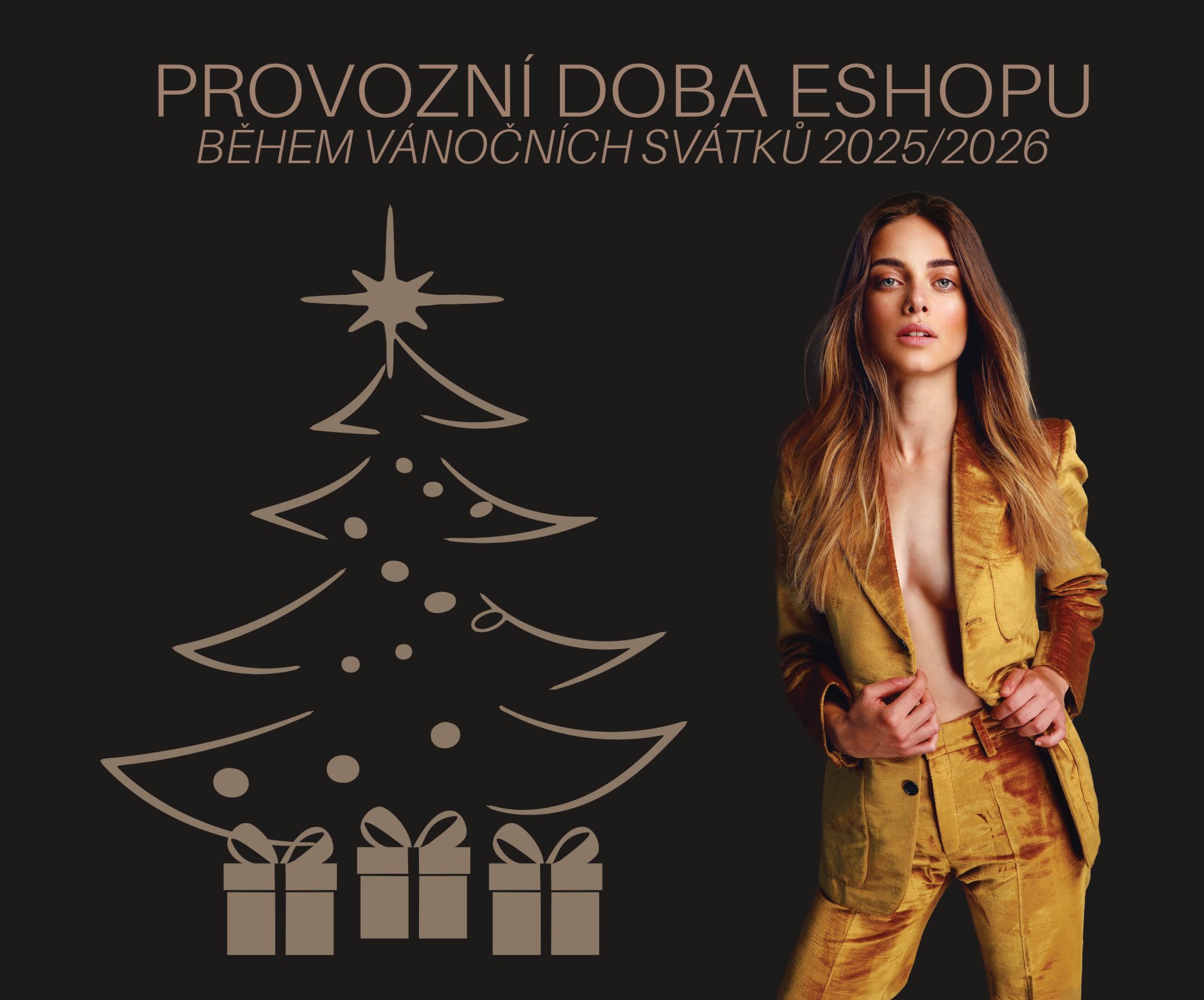 PROVOZNÍ DOBA ESHOPU BĚHEM VÁNOČNÍCH SVÁTKŮ