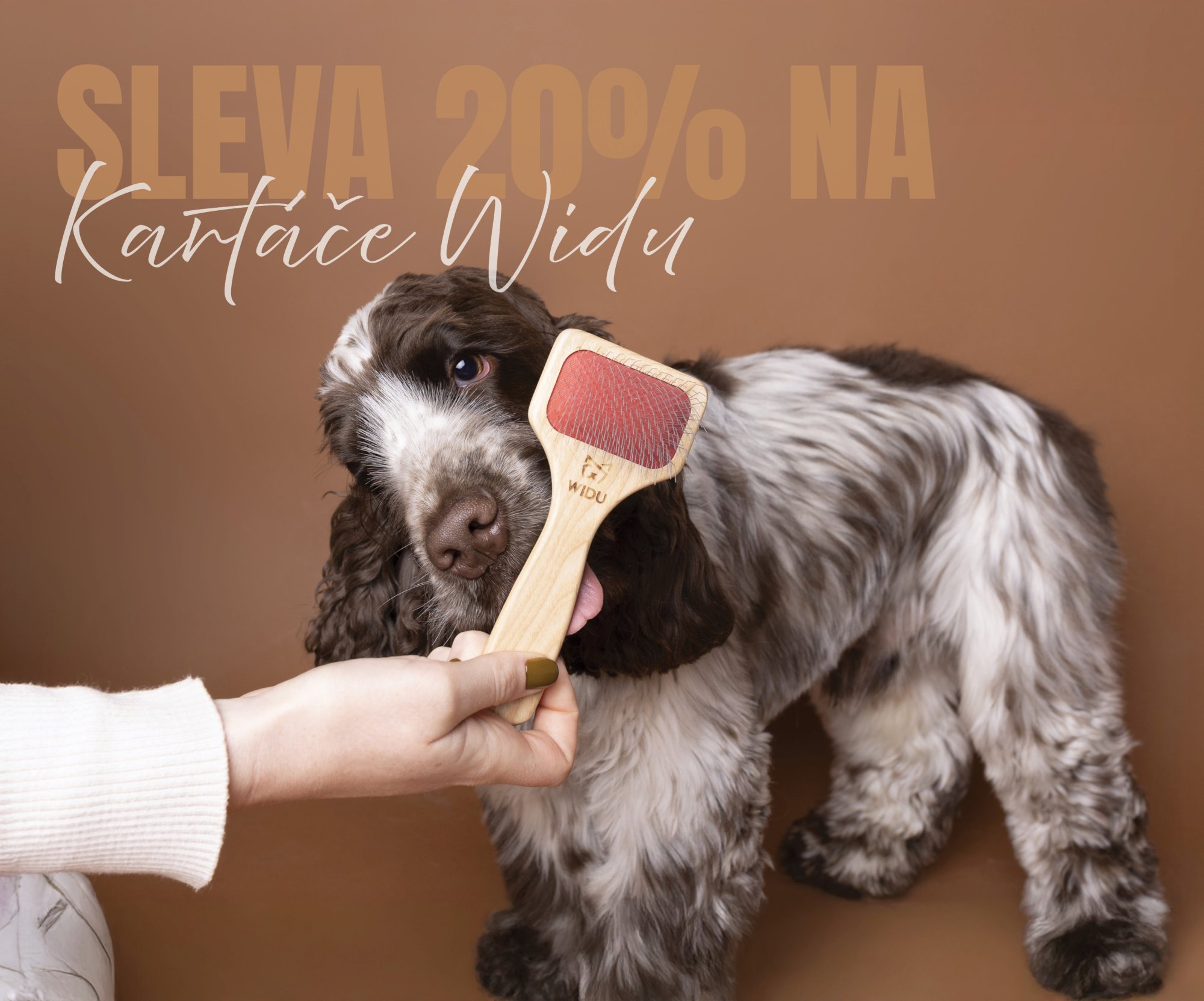 MEZINÁRODNÍ DEN PSŮ: SLEVA NA KARTÁČE WIDU