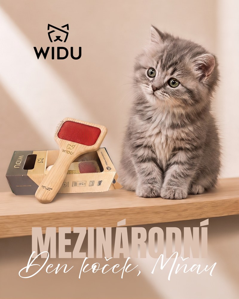 Mezinárodní den koček